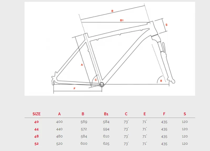 Bottecchia size top chart
